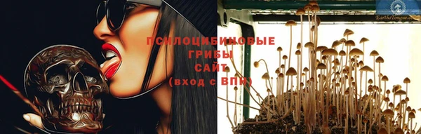 круглые Каменногорск