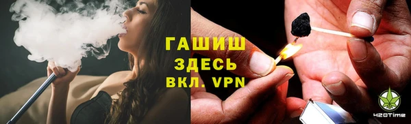 прущие грибы Каменка