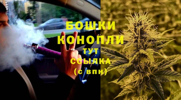 прущие грибы Каменка