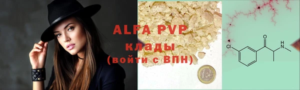 прущие грибы Каменка