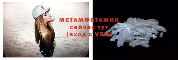 прущие грибы Каменка