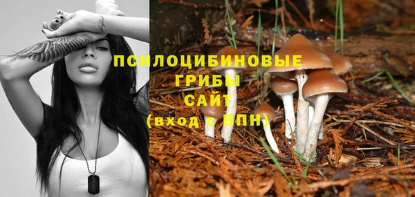 прущие грибы Каменка