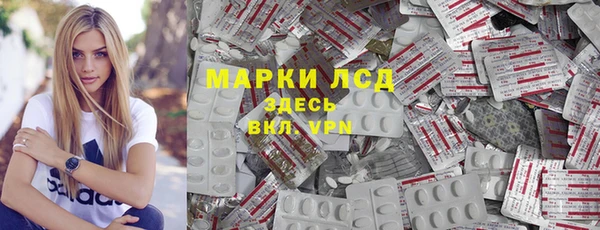 прущие грибы Каменка