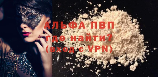 прущие грибы Каменка
