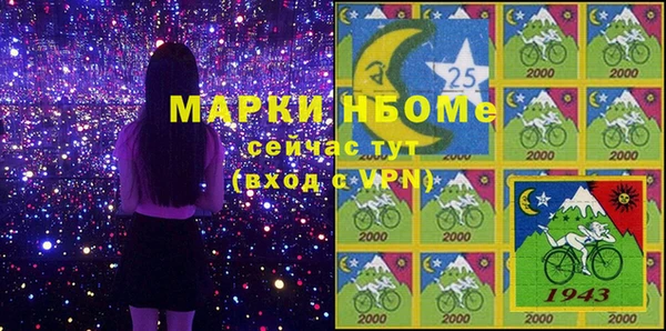 прущие грибы Каменка