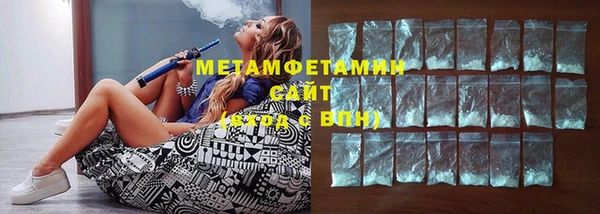 прущие грибы Каменка