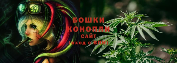 прущие грибы Каменка
